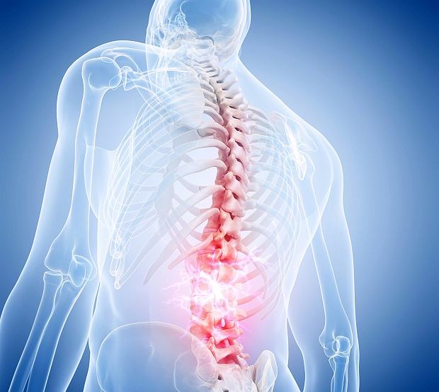 Ból kręgosłupa – rehabilitacja i fizjoterapia